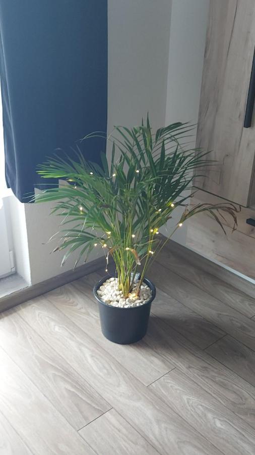 Apartament Antonias Fagaras Bagian luar foto