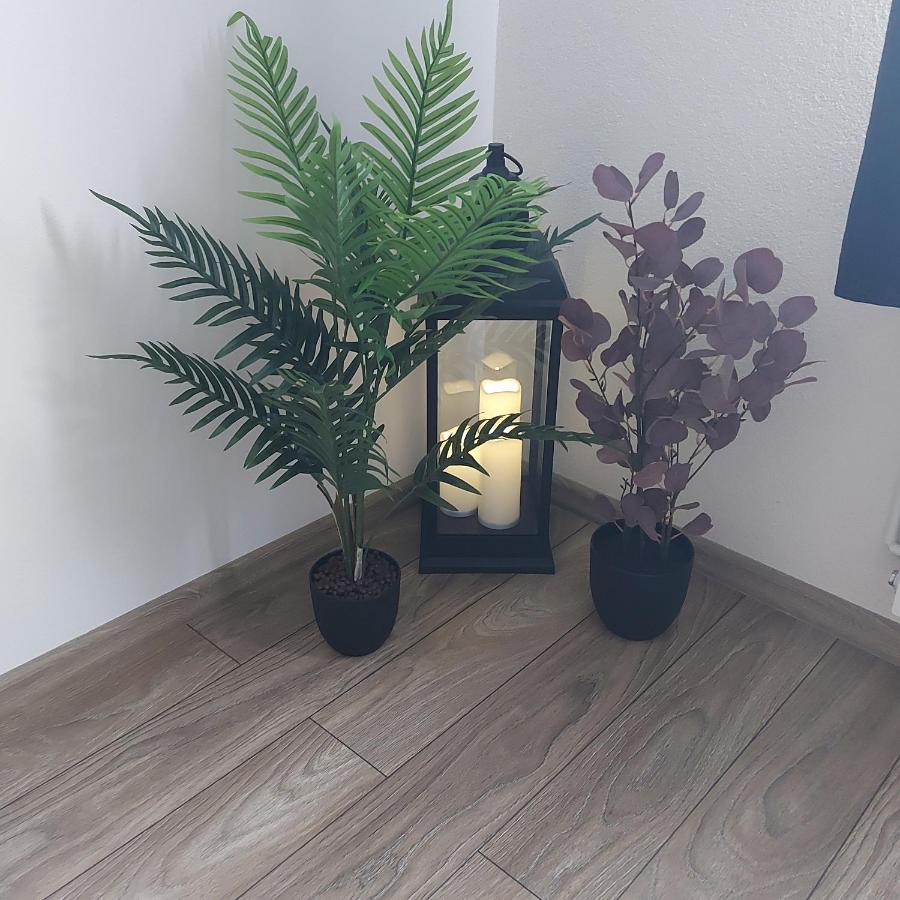Apartament Antonias Fagaras Bagian luar foto